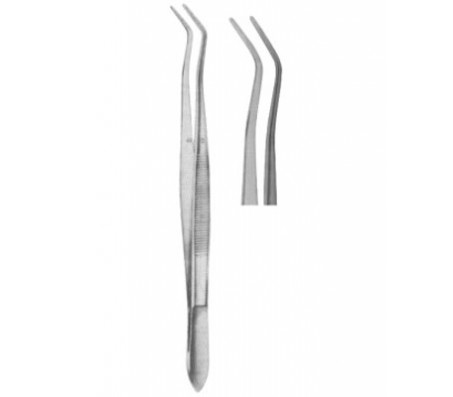 Dental Tweezers